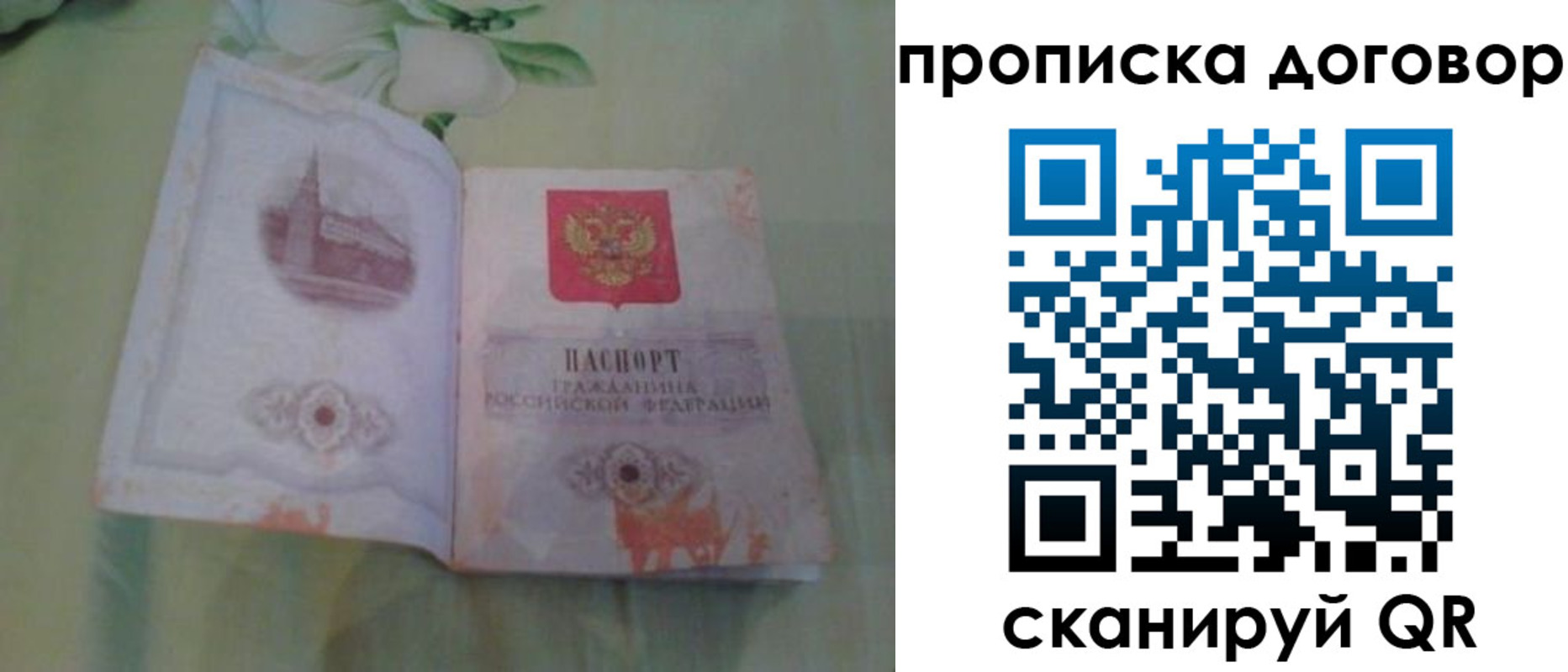 временная регистрация гарантия в Светогорске